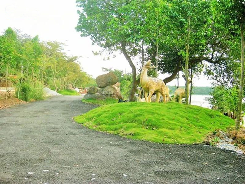 Chính Chủ Cần Bán Lô Đất Vị Trí Siêu Đẹp Tại Đồng Phú Giá Đầu Tư.