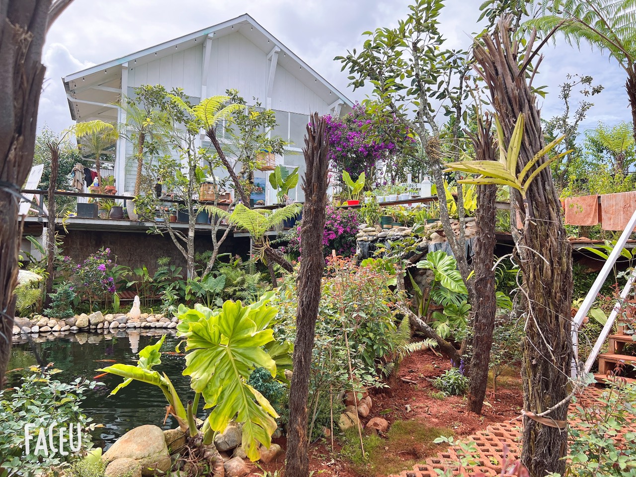 Siêu phẩm săn mây tại Xuân Thọ - Đà Lạt, Hòa mình cùng thiên nhiên vùng sơn cước View đồi