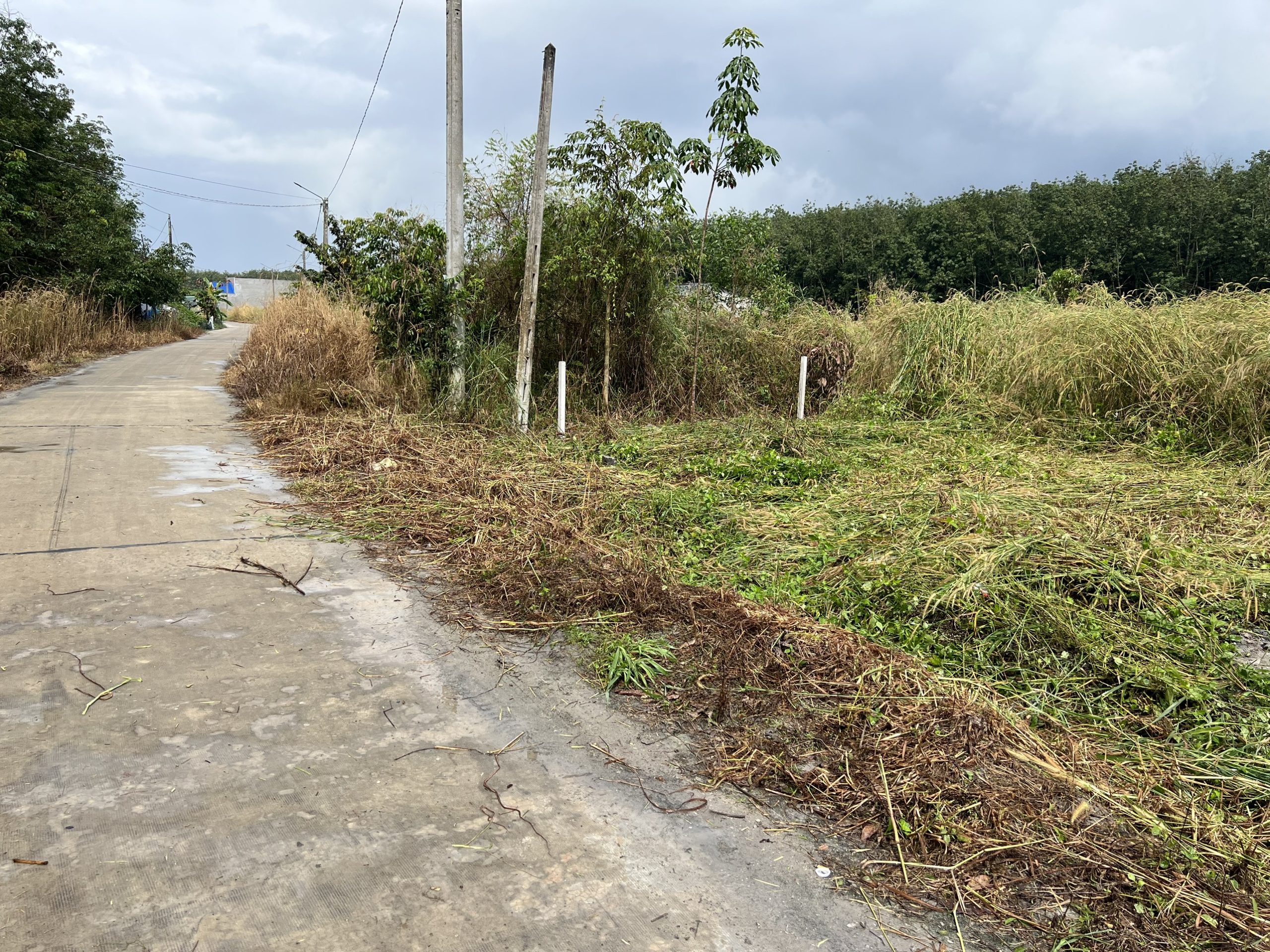 1000m2 sát bên Phúc Hưng Golden, gần KCN Minh Hưng, gái chỉ hơn 2 tr/m