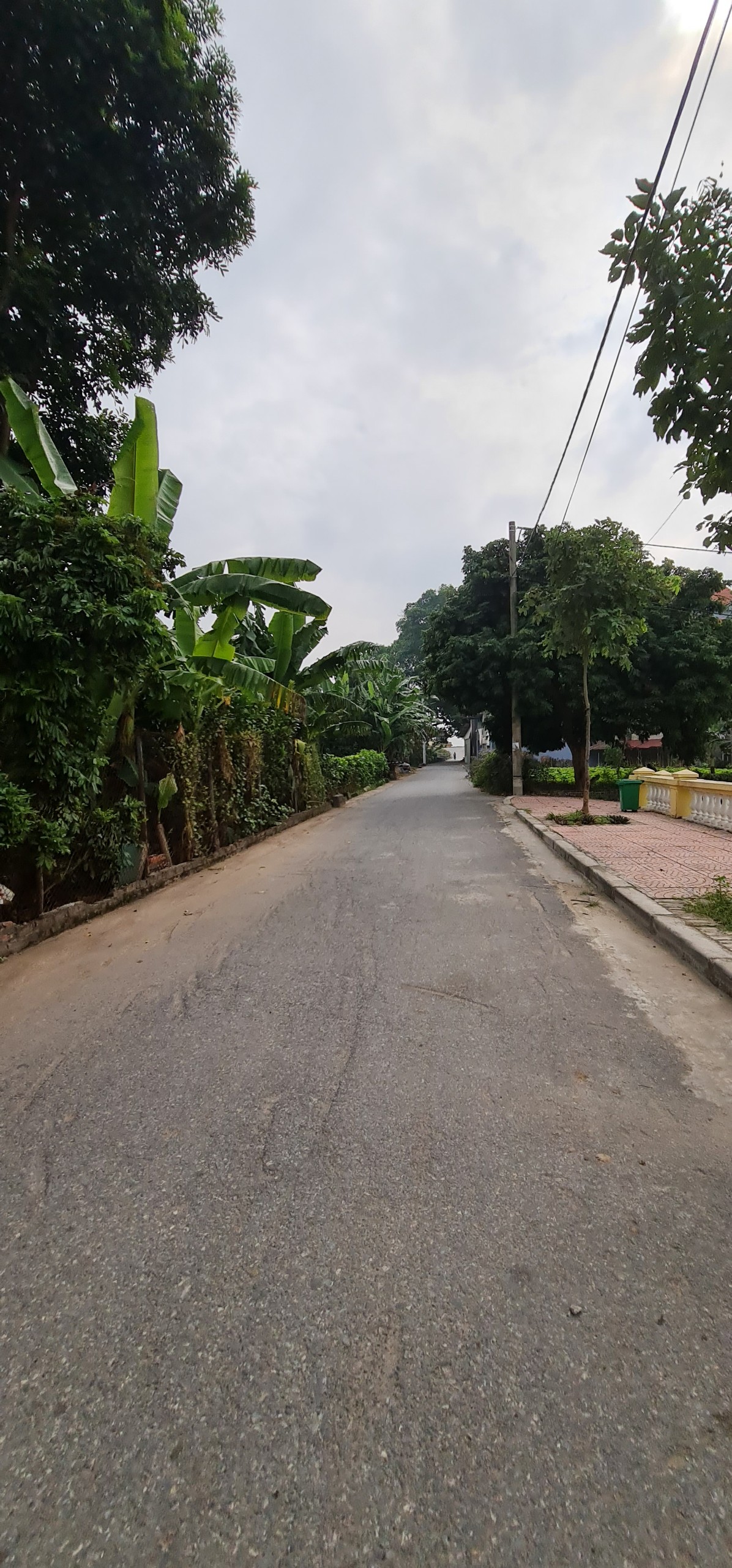 Thanh lý đất xã Lê Chi, huyện Gia Lâm, Hà Nội - 279m2, MT 21m