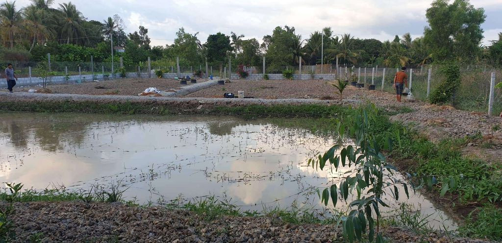 CHÍNH CHỦ BÁN 1200M2 ĐẤT GIÁ TỐT MT NHÁNH VĂN TIẾN DŨNG