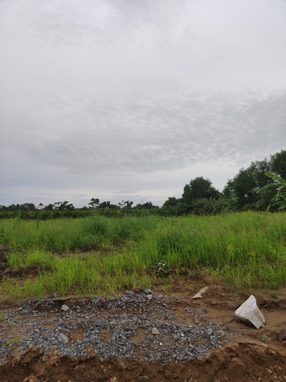 BÁN GẤP NỀN MẶT TIỀN QL1A CHÍNH CHỦ- CHUNG ĐỘ