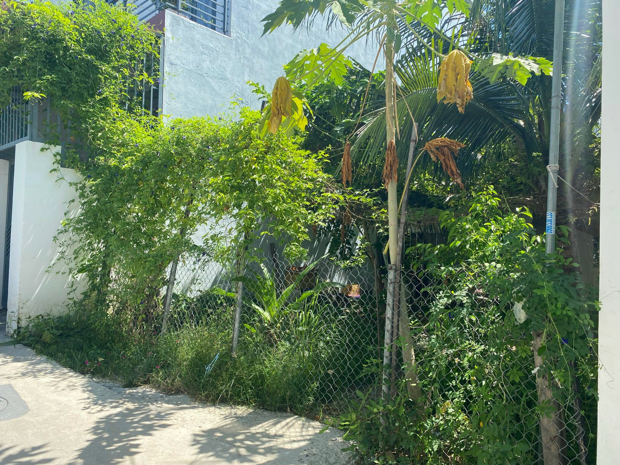 Bán lô đất thôn Thái Thông 1 , Vĩnh Thái , Nha Trang Từ ngã tư Thái Thông Vĩnh Thái đi vào khoảng 500m .