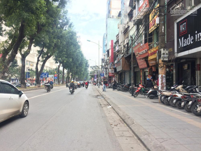 💥 Tòa nhà Mặt phố Giảng Võ, Đống Đa, Lô góc, 37m2 7T Thang máy, MT 4.6m, Chỉ 21 Tỷ 💥