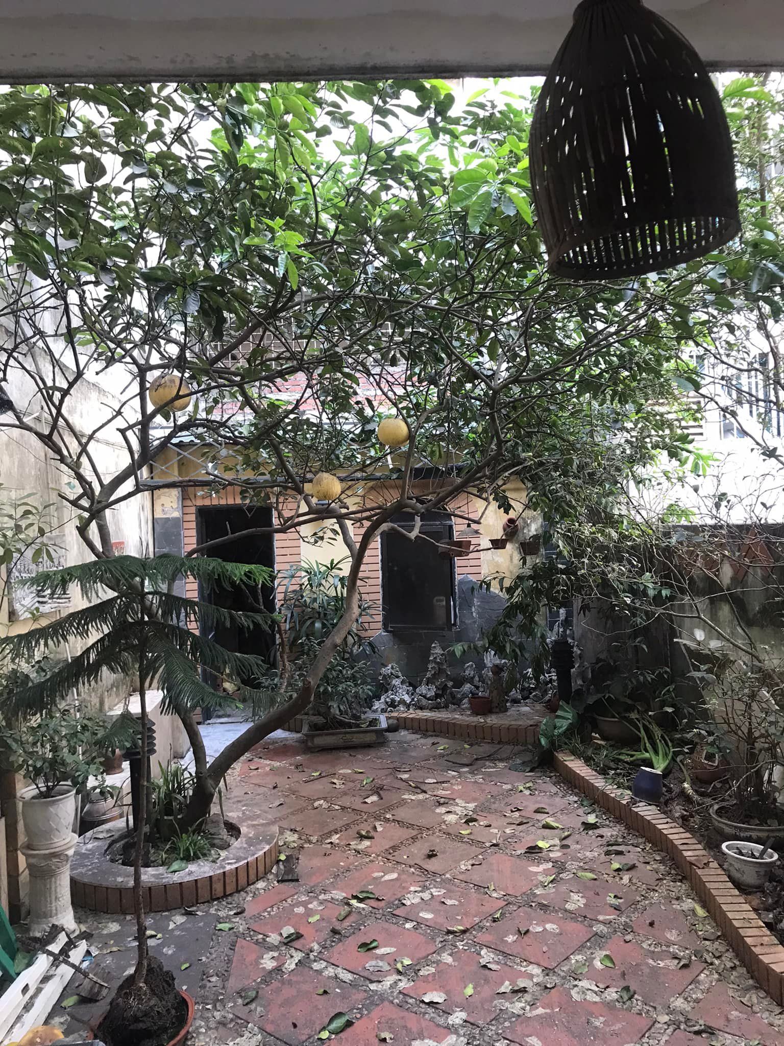 Nhà Lê Trọng Tấn, Thanh Xuân, 130m2 MT rộng, ngõ ô tô tránh, 50m ra phố, Kinh Doanh - Văn phòng đỉnh nhỉnh 23 tỷ LH+962476796