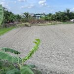  10045.4m2 - 4
