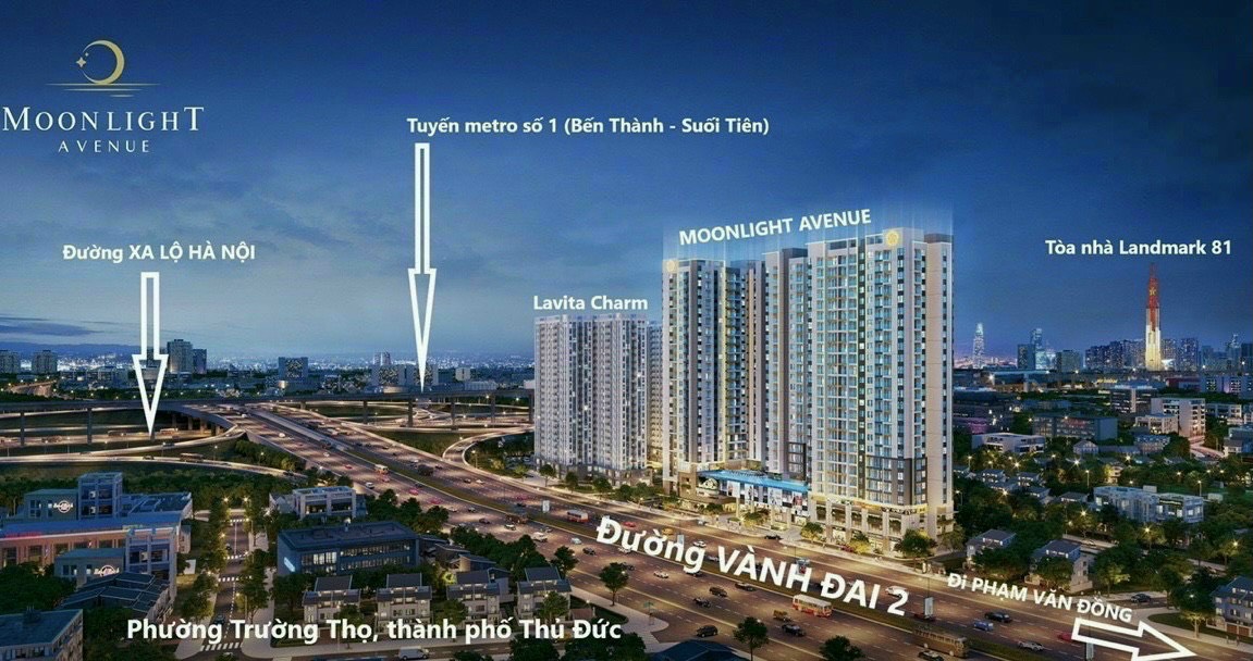 CĂN HỘ MOOLINGHT AVENUE