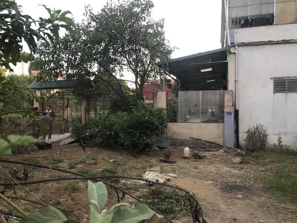 Bán nhà đầu cầu Him Lam 2, phường Him Lam