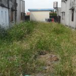 50m2