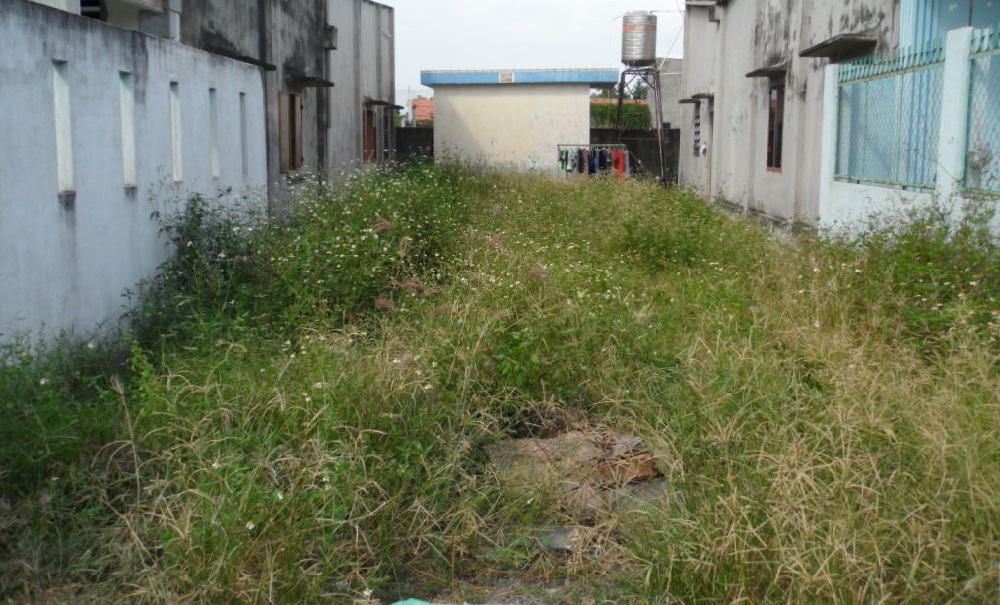 50m2