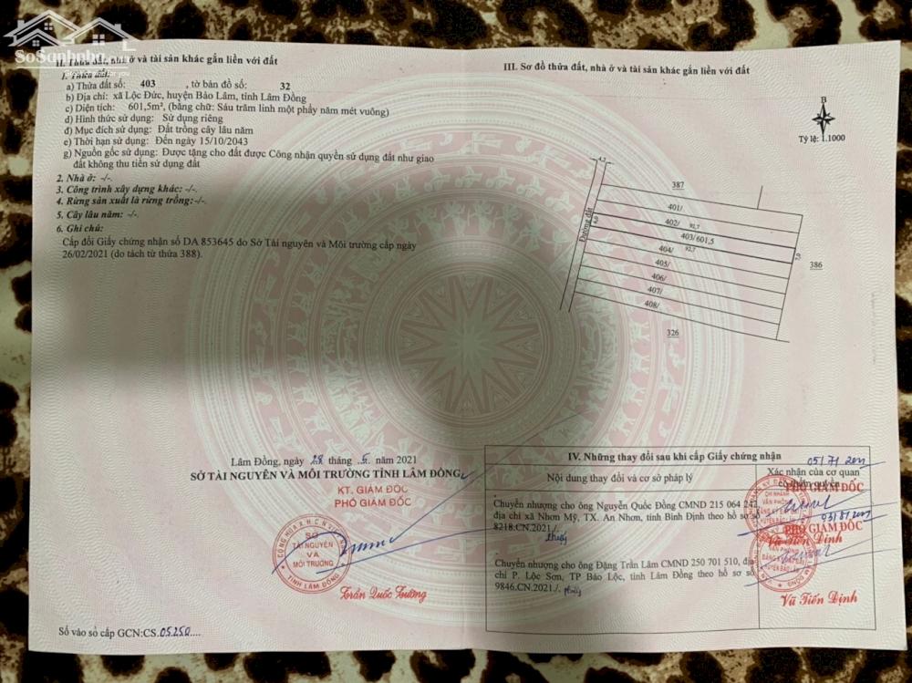 CHÍNH CHỦ XẢ LỖ LÔ ĐẤT GẦN UB XÃ LỘC ĐỨC - BẢO LÂM - LÂM ĐỒNG