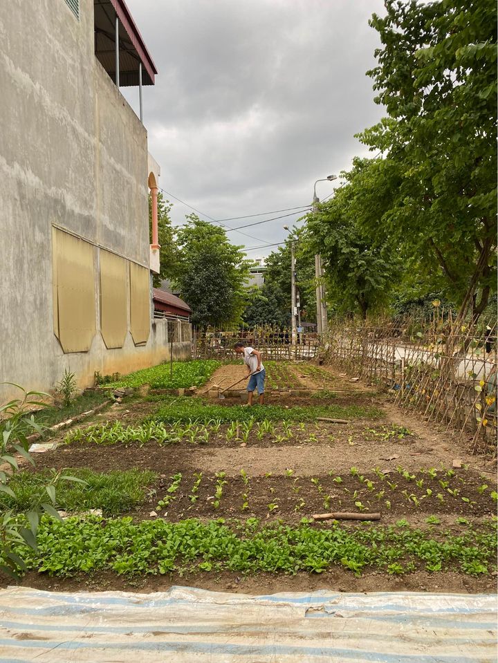 Bán đất ngõ tổ 4 phường Tân Thanh, Điện Biên