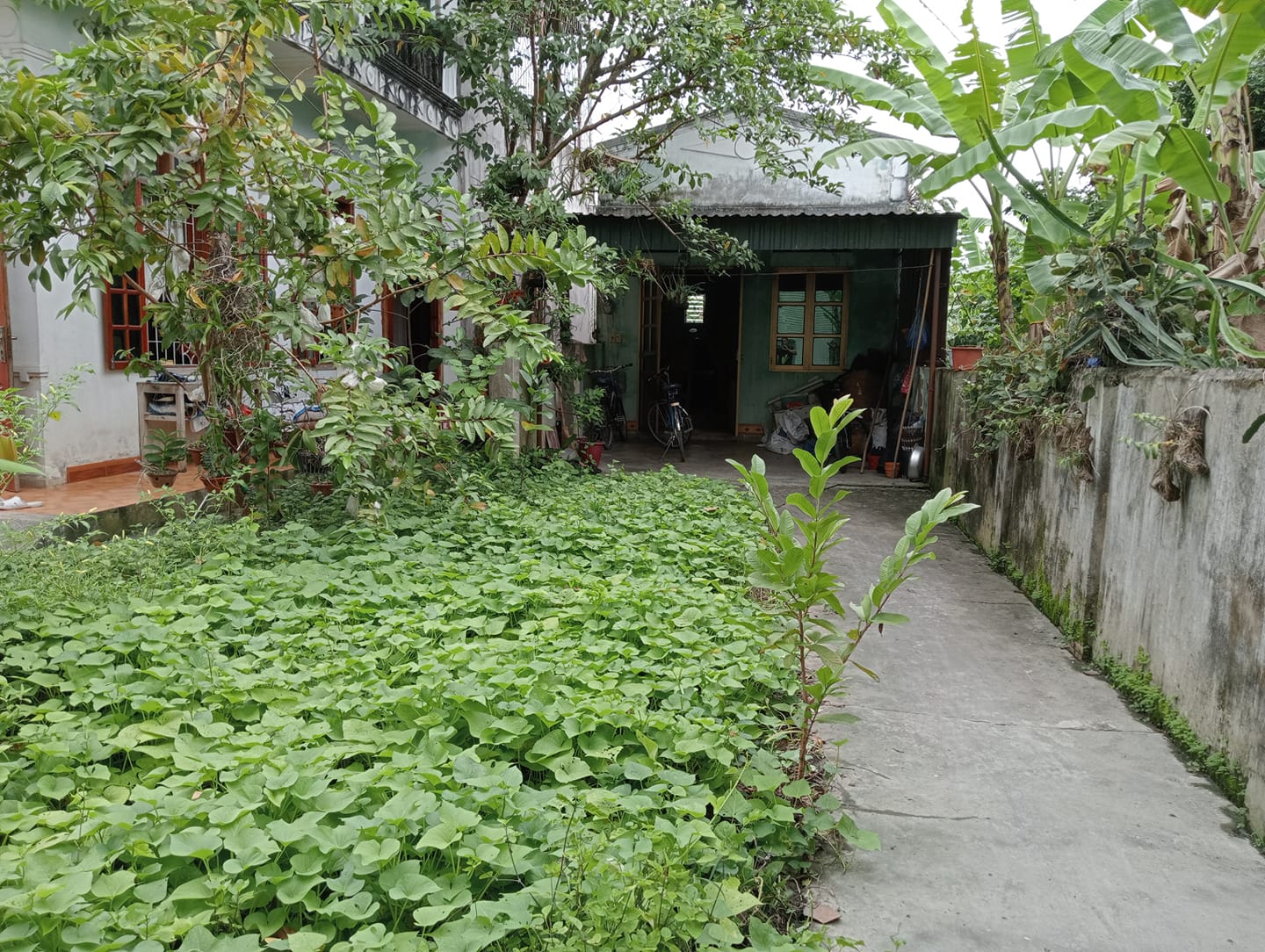 Bán đất C17a, xã Thanh Xương, huyện Điện Biên, tỉnh Điện Biên