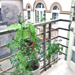  70m2 - 3