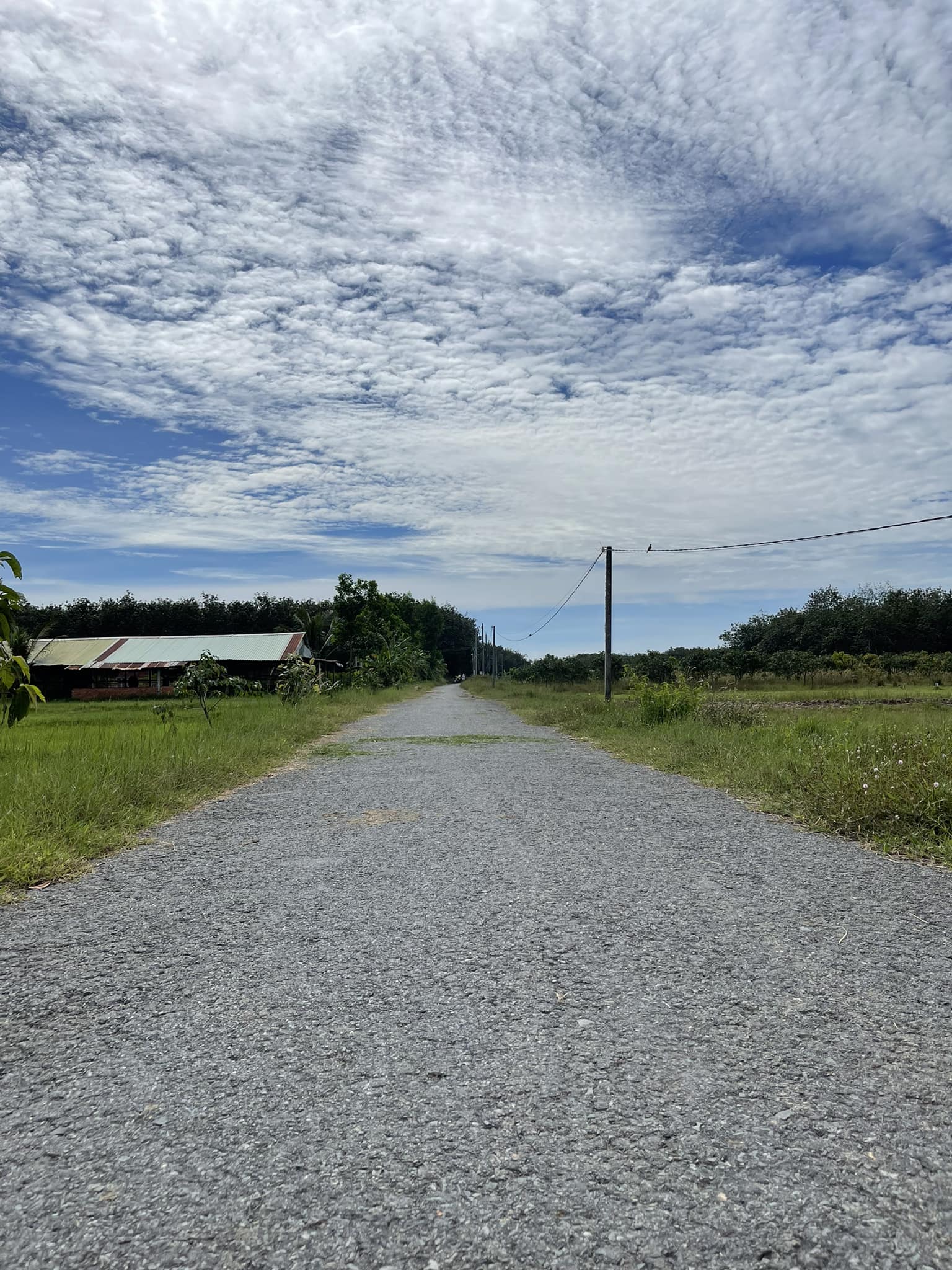 Tài chính 500triệu có ngay lô đất ở TP Tây Ninh