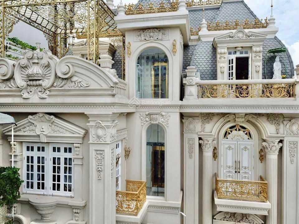 Biệt thự đẹp như mơ đường Nguyễn Đình Chiểu (mặt tiền đường Cây Điệp) Phường Đa Kao Quận 1, TP. HCM