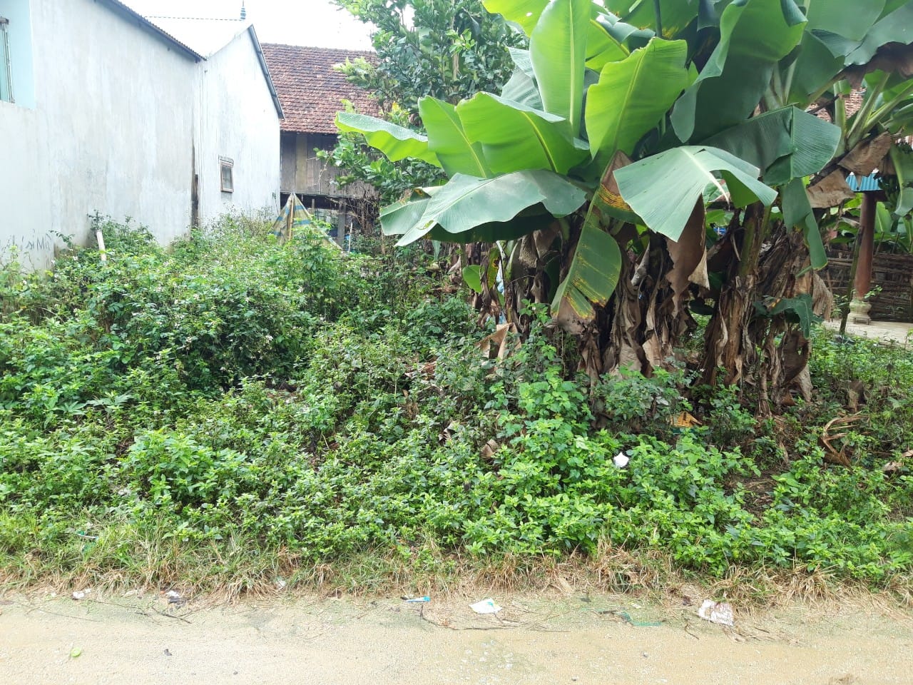 Em cần bán gấp mảnh đất tại bản Him Lam 2, thành phố Điện Biên phủ.