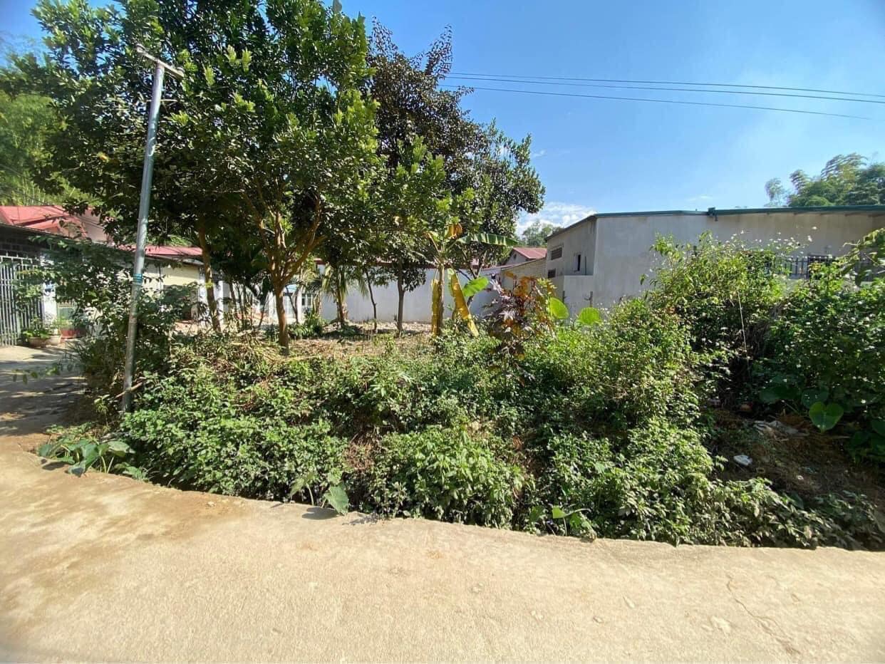 Cần bán mảnh đất tại đội 5 xã Thanh Luông, Điện Biên