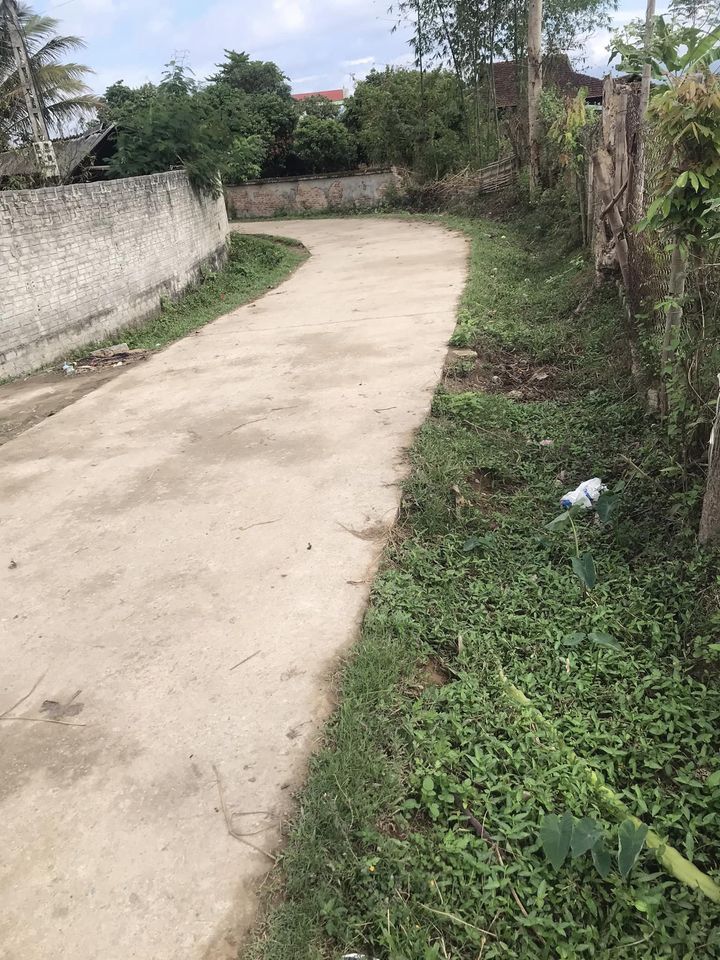 Cần bán đất tại đội 5, Bom La, xã Thanh Xương, Huyện Điện Biên