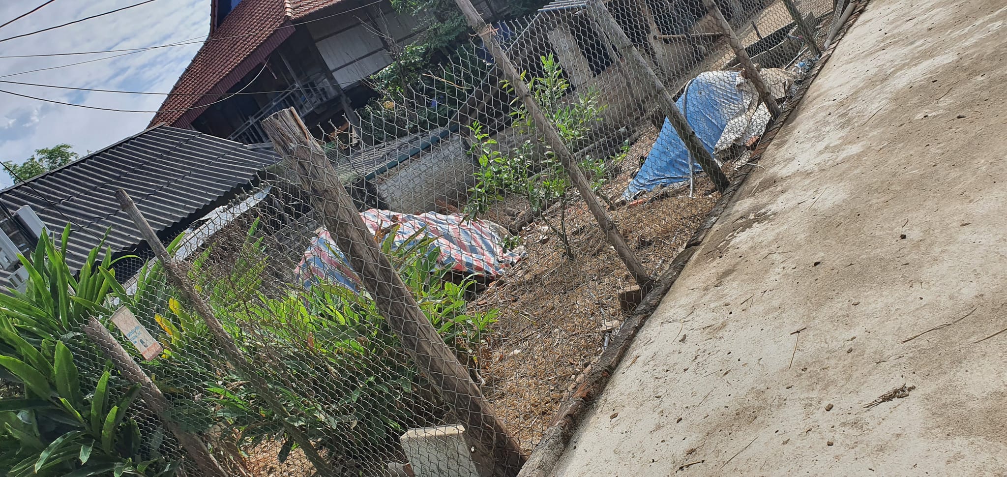 Cần bán gấp mảnh đất đẹp tại Thanh Hưng, huyện Điện Biên