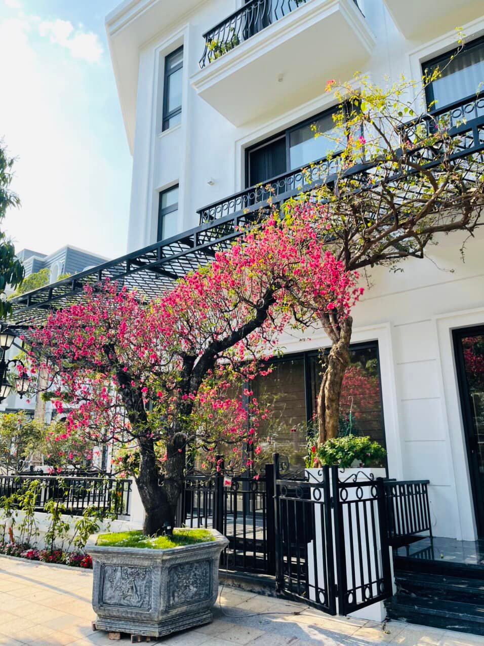 BÁN BIỆT THỰ KHU ĐÔ THỊ LINH ĐÀM, HOÀNG MAI, 236m x 4T, MT 15m, CHỈ 26.5 TỶ