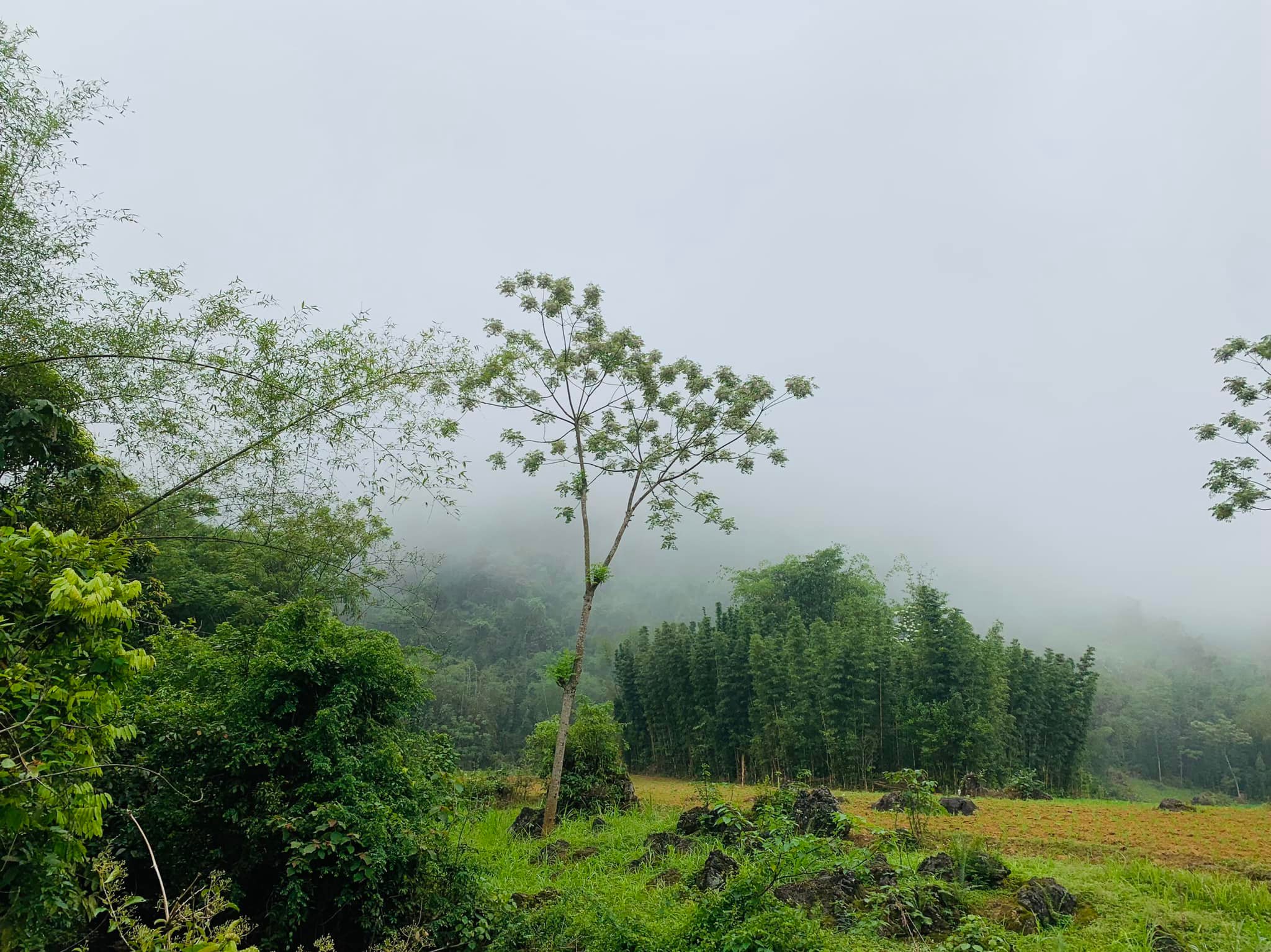 CẦN BÁN ĐẤT MAI CHÂU 7500m chỉ 266k/m2 Mai Châu là điểm đến Có các khu du lịch cộng đồng như Bản Lác, Khu