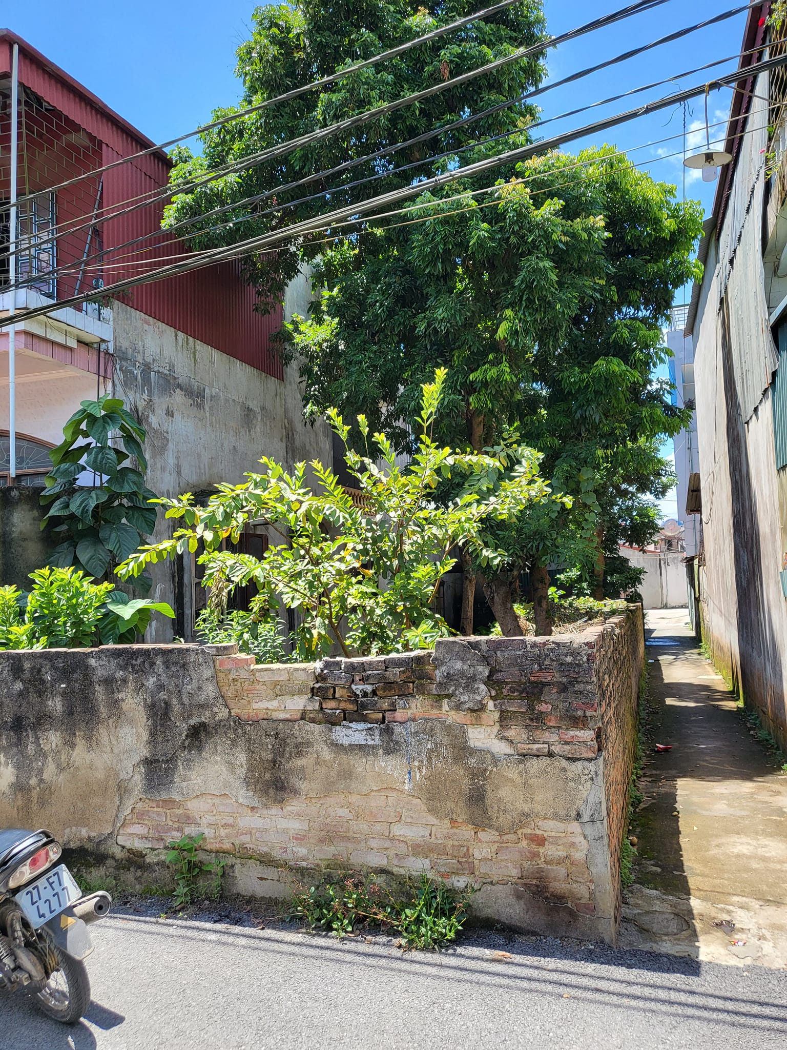 Bán đất vườn ở đội 24 xã Thanh Nưa, huyện Điện Biên