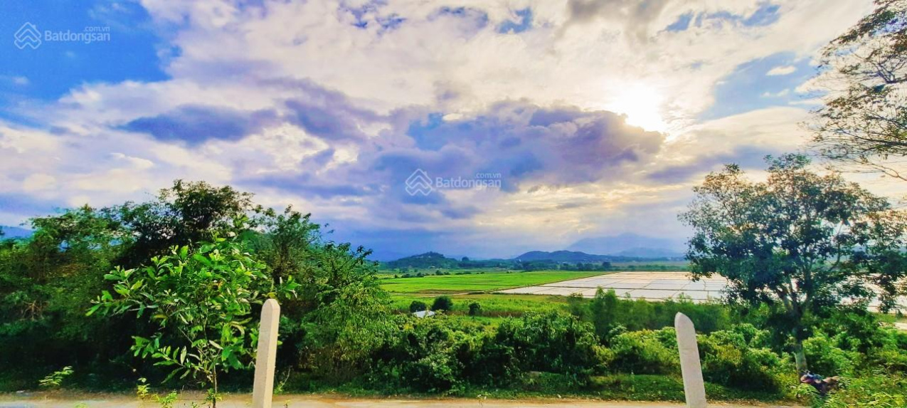 3.7ha Diên Lâm - mặt tiền đường nhựa