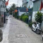  50m2 - 1