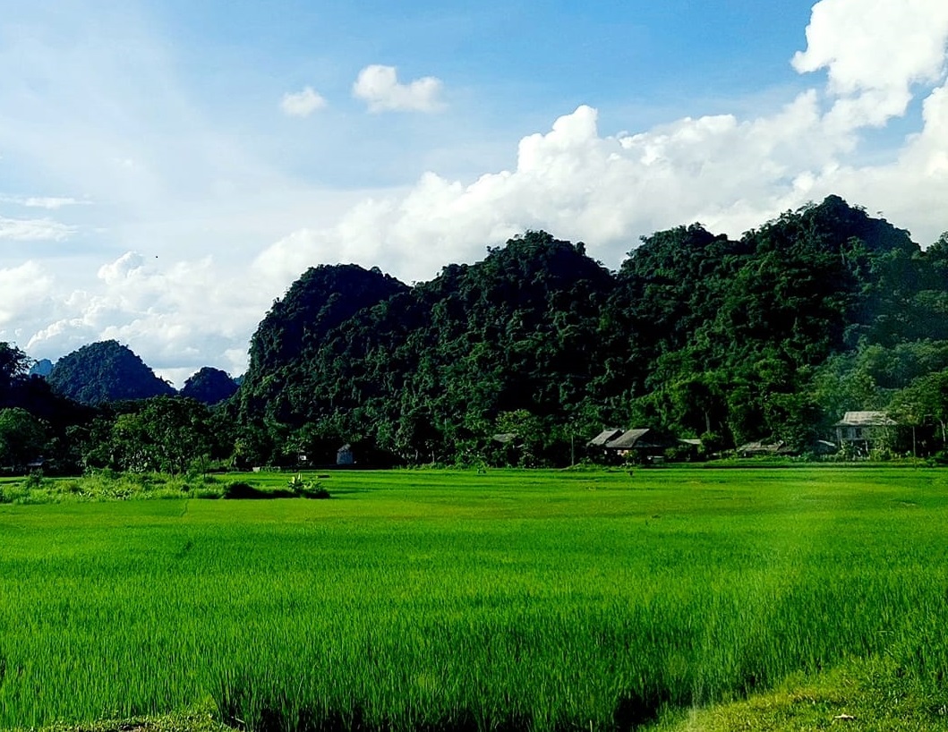 Bán đất giá giảm sâu ăn tết 2700m2(200m2 đất ở) chỉ 900 tại Xóm Đung, xã Phú Vinh, Tân Lạc, Hòa Bình Lô đất cực đẹp chủ nhà cho ra đi do cần tiền