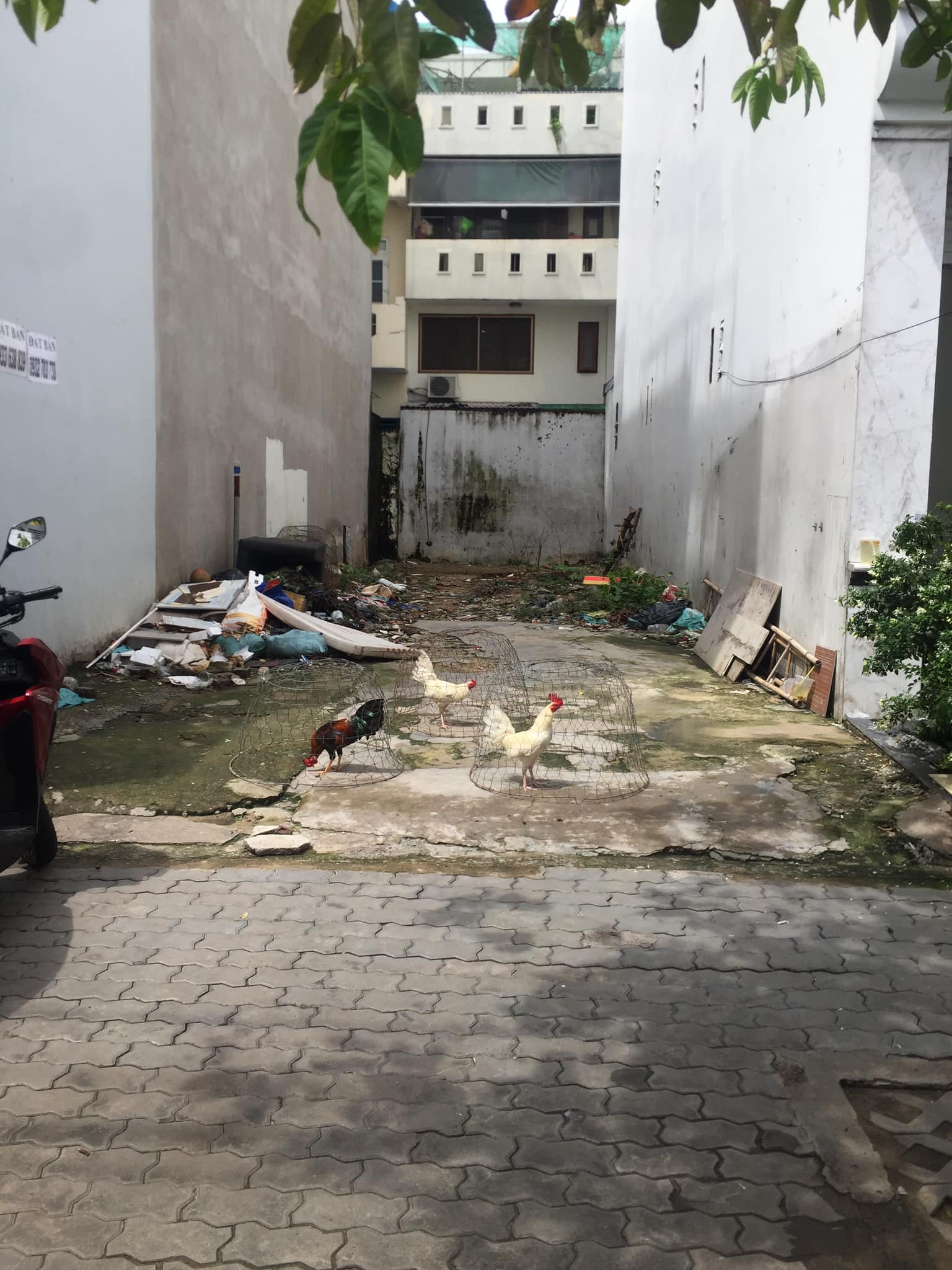 Đất mặt tiền đường só,full sổ ,đường xe tải,dt 100 m,phường tân phú quận 7,giá 16 tỷ.