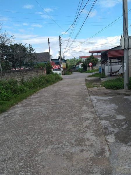 Cần bán đất tại thôn Yên Trường, xã Thanh Yên, huyện Điện Biên