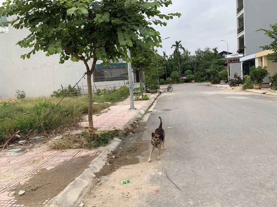 Bán nhà mới xây khu tái định cư Thanh Trường, TP. Điện Biên Phủ