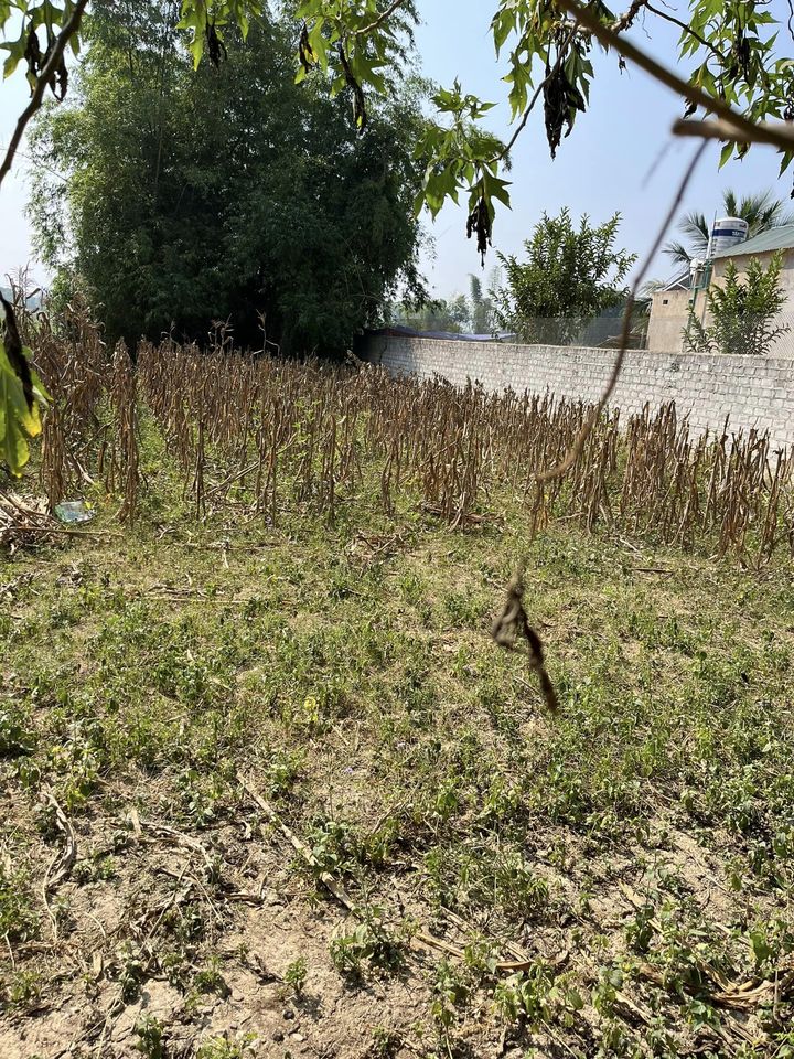 Bán đất tại đội 7 xã Hua Thanh, huyện Điện Biên