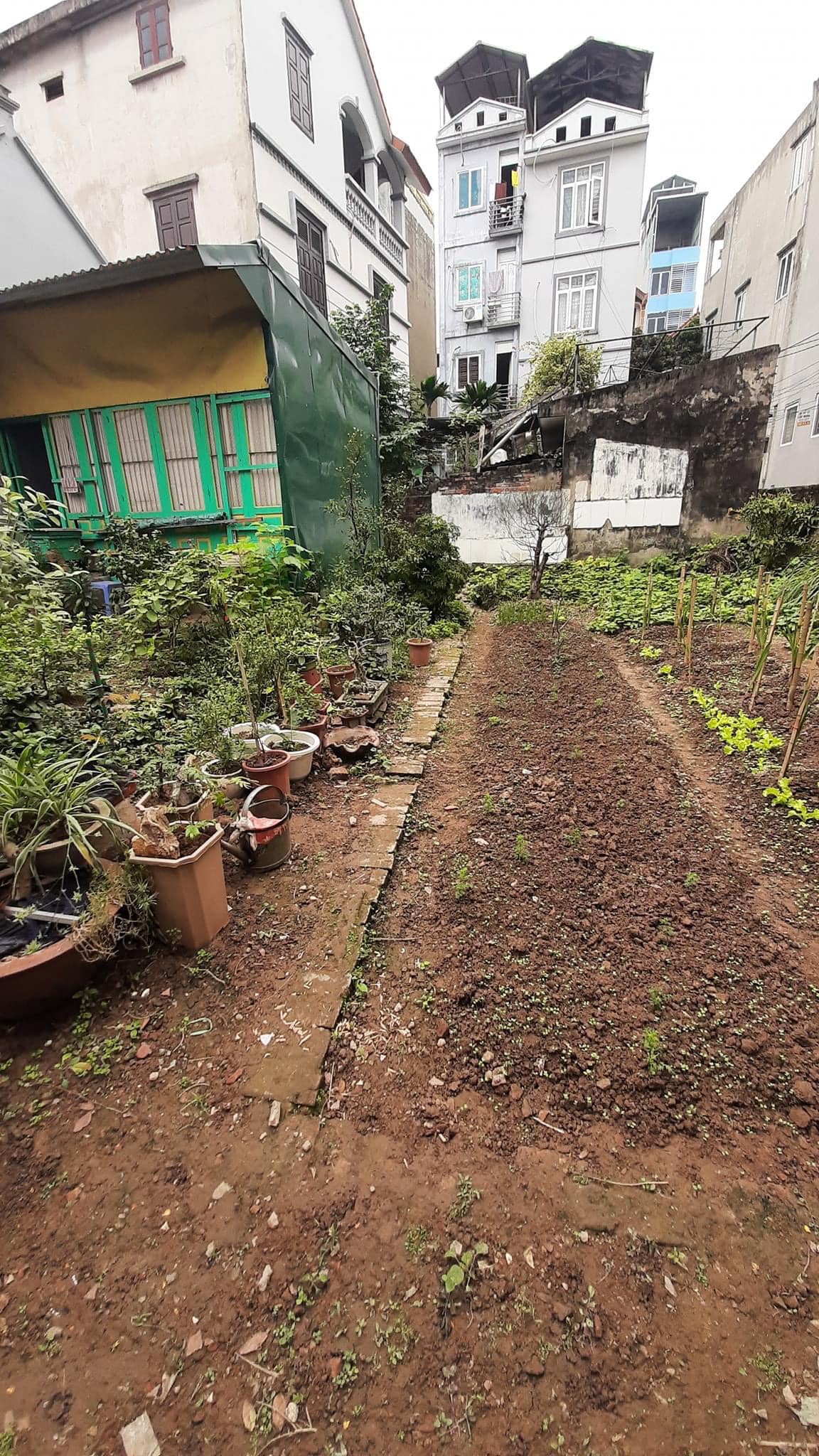 20M RA MP VŨ LĂNG - Ô TÔ ĐỖ CỬA, VÀO NHÀ - SỔ PHÂN LÔ - 62M - MT 4M - 3.9 TỶ