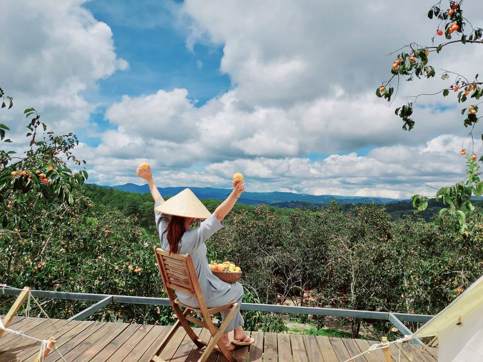 Bán một vườn hồng, xã Trạm Hành – Đà Lạt – Lâm Đồng. DT: 2303m2. Có một căn nhà. Gần Novaland. Giá: 3,9 tỷ.