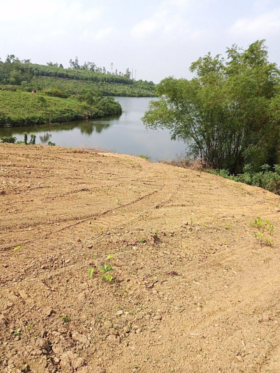 TUYỆT PHẨM NGỦ QUÊN - LƯƠNG SƠN HÒA BÌNH - BÁM HỒ - ĐƯỜNG BÊ TÔNG - GIÁ RẺ