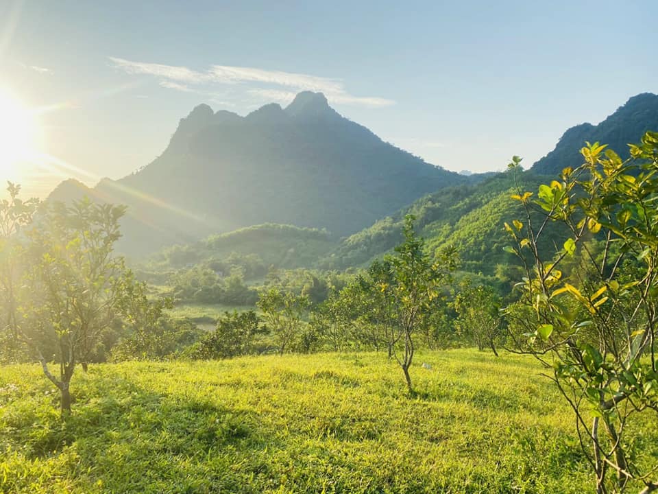 BÁN ĐẤT LƯƠNG SƠN HÒA BÌNH - VIEW SUỐI - CÓ THỂ TRỒNG CÂY THẢO DƯỢC - GIÁ 800K/M