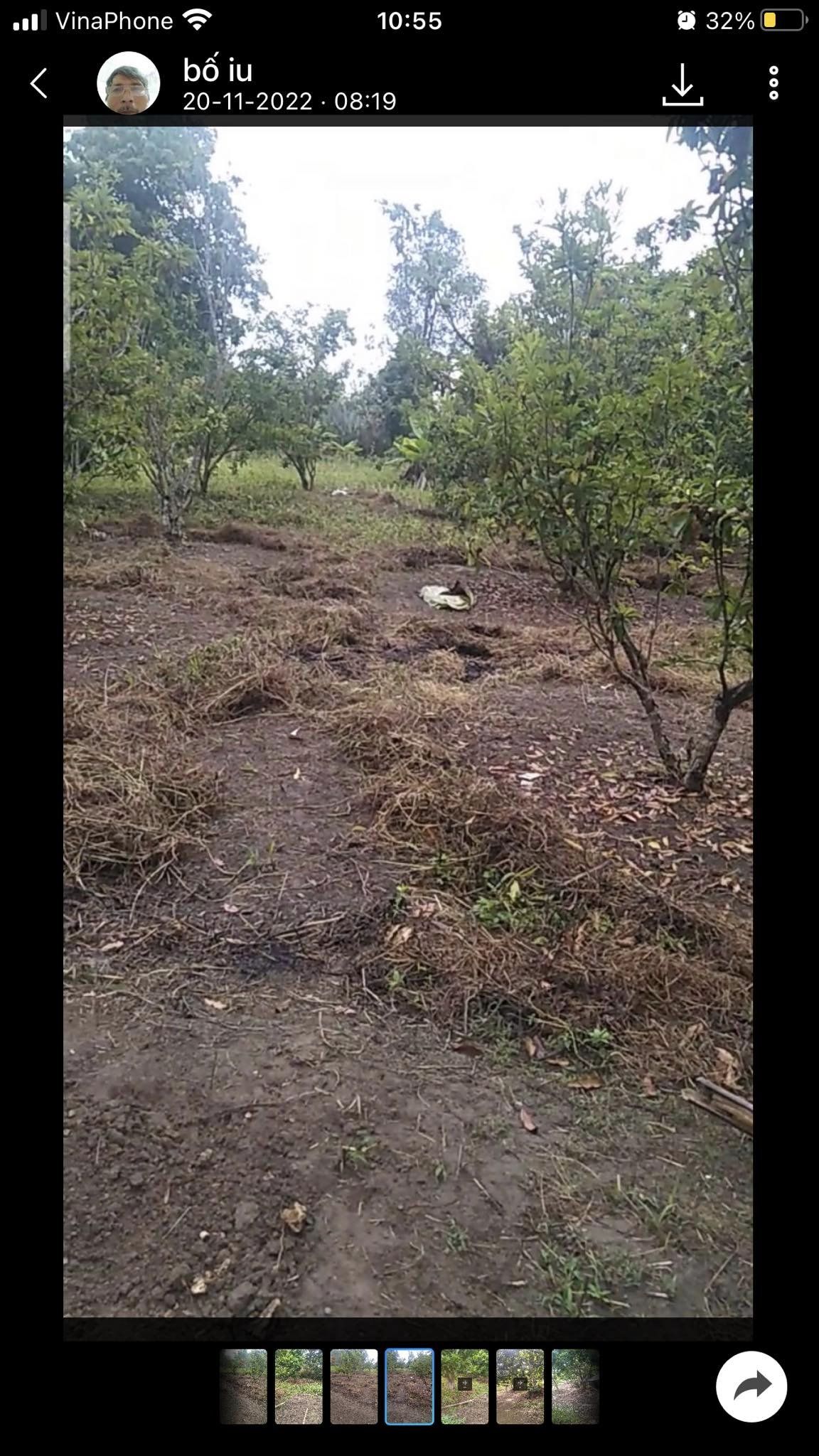 Bán gấp mảnh đất tại xã Thanh Luông, huyện Điện Biên