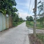  1365m2 - 5