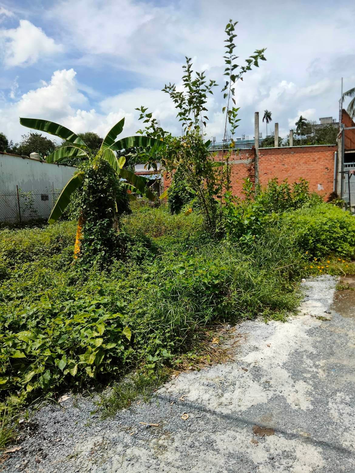 Bán GẤP- Giảm SỐC – Đất Ở 216M2 Chỉ 5 Tỷ 25- Thạnh Lộc Quận 12