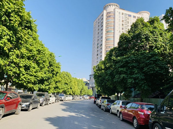 ban nha nguyen nhu uyen cau giay