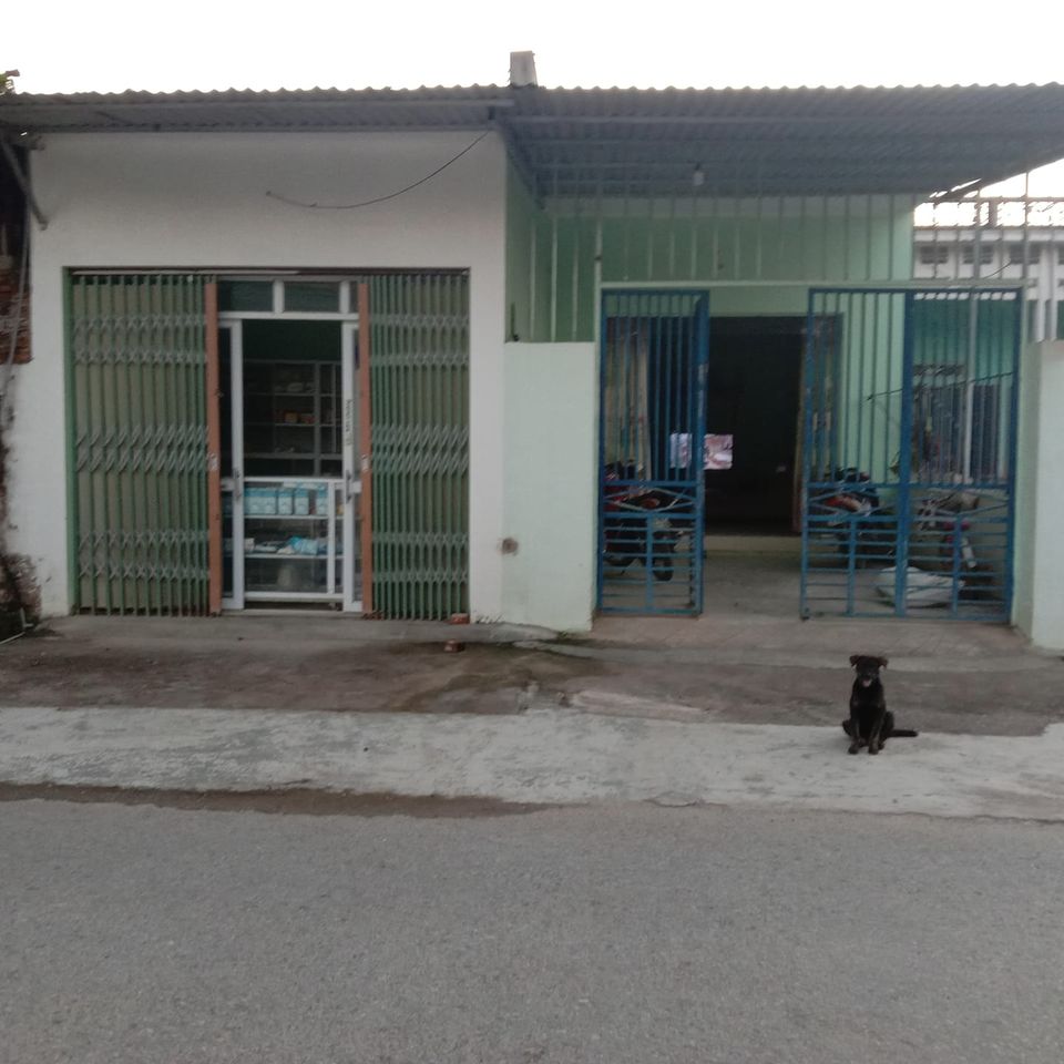 Bán nhà tại đội 4, xã Thanh Yên, huyện Điện Biên