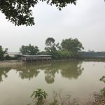  4000m2 - 1