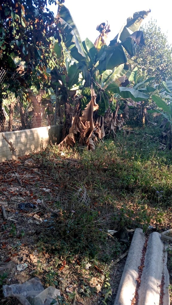 Bán đất trung tâm xã Núa Ngam, huyện Điện Biên.