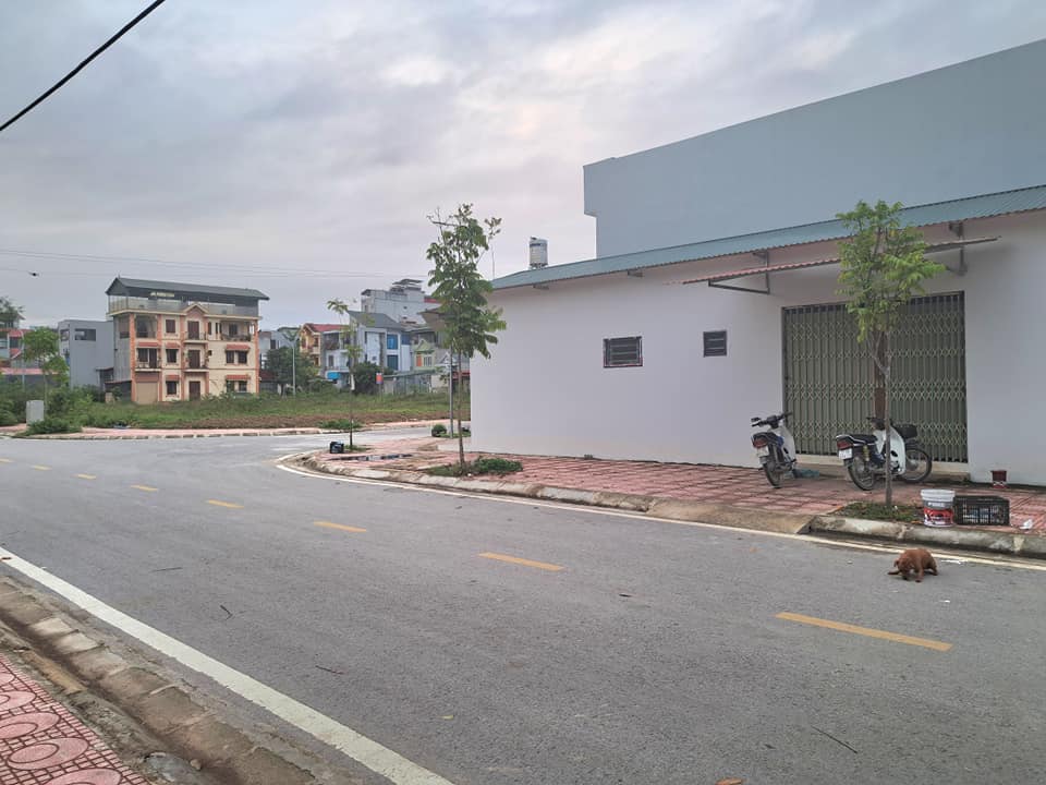 Em cần bán nhà đất tại tổ dân phố 2 xã Thanh Minh.