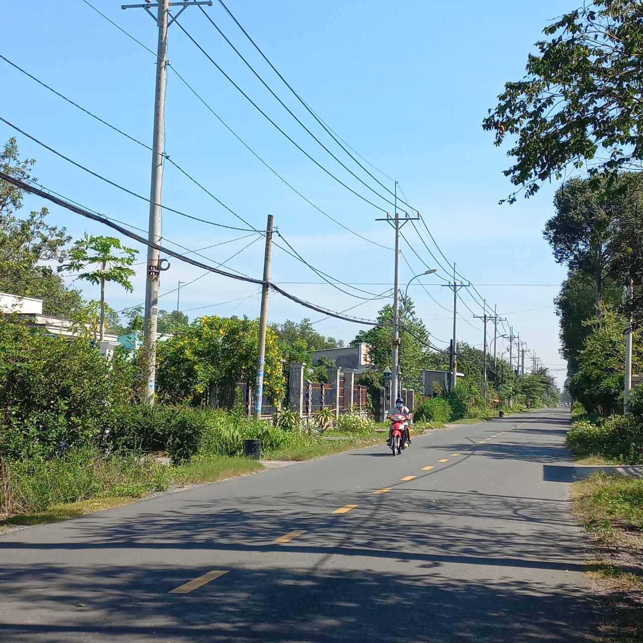 Bán Đất 2 Mặt Tiền Đường Nhựa 1500m2 Bùi Thị Điệt, Xã Phạm Văn Cội, Huyện Củ Chi.