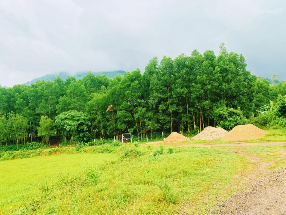 5000m2 Diên Điền bằng phẳng 95% cần chủ mới