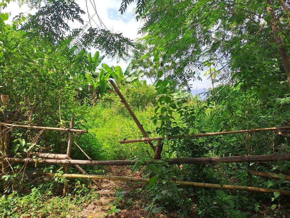 Cần bán mảnh đất tại đội 15 xã Thanh Xương, Điện Biên