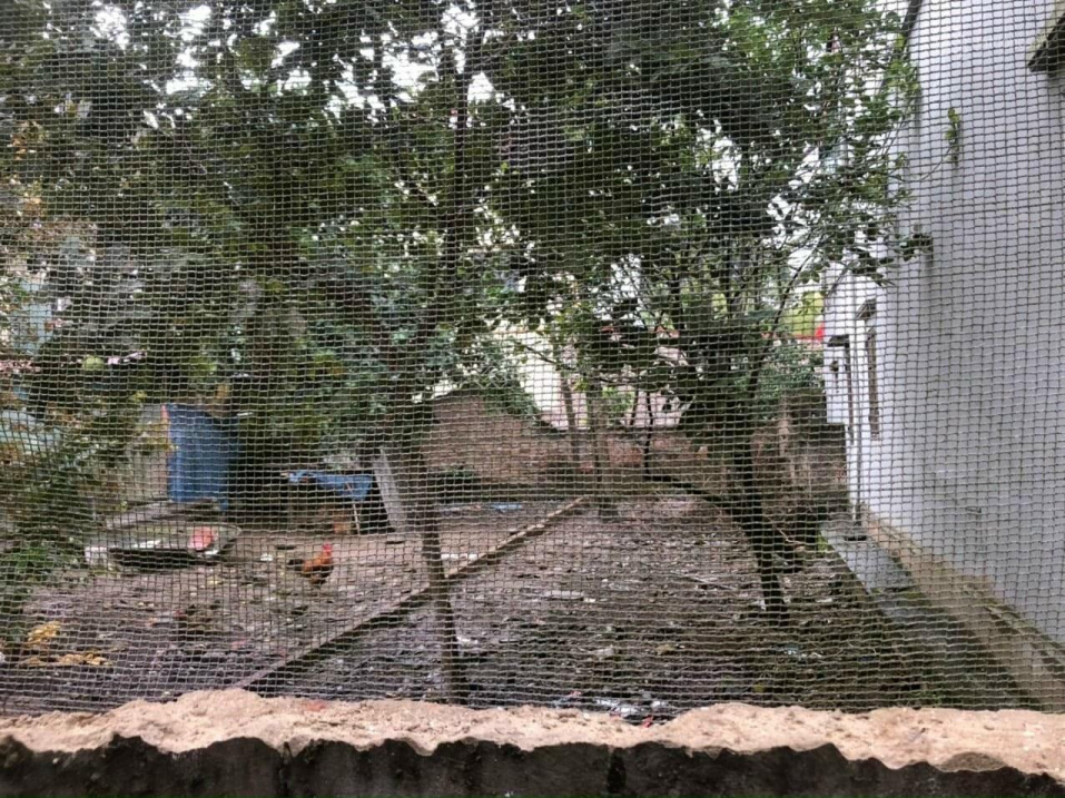 77m2 đất trung tâm thị trấn Sóc Sơn HN. Gần đường trường trạm văn minh sạch sẽ giá đầu tư